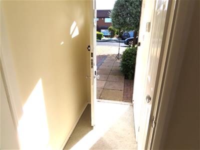Picture 13